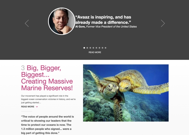 Avaaz-Website mit einem Zitat von Al Gore, einer Botschaft zum Meeresschutz und einem Foto einer Meeresschildkröte.