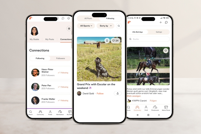 Three smartphones displaying the FEI equestrian app interface for horse enthusiasts.