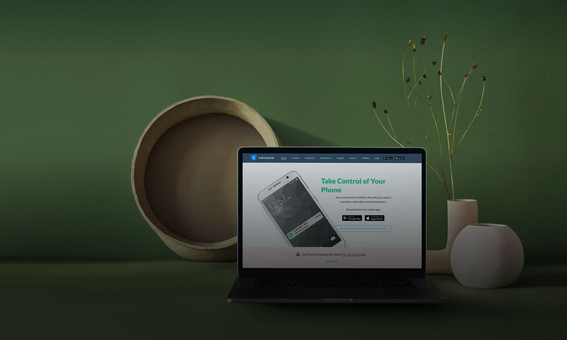 Laptop mit einer Software zur Steuerung eines Mobiltelefons vor einem grünen Hintergrund mit dekorativen Elementen.